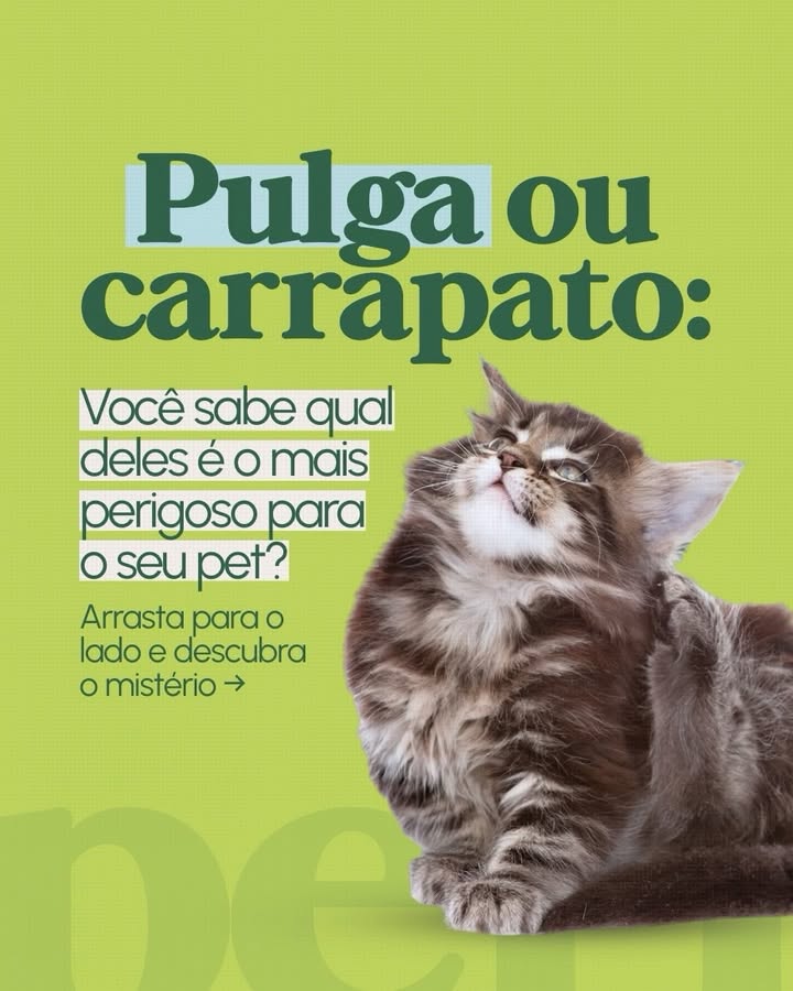 Pet Point