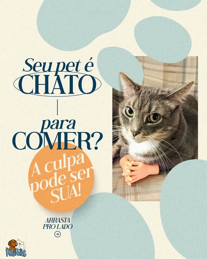Pet Point